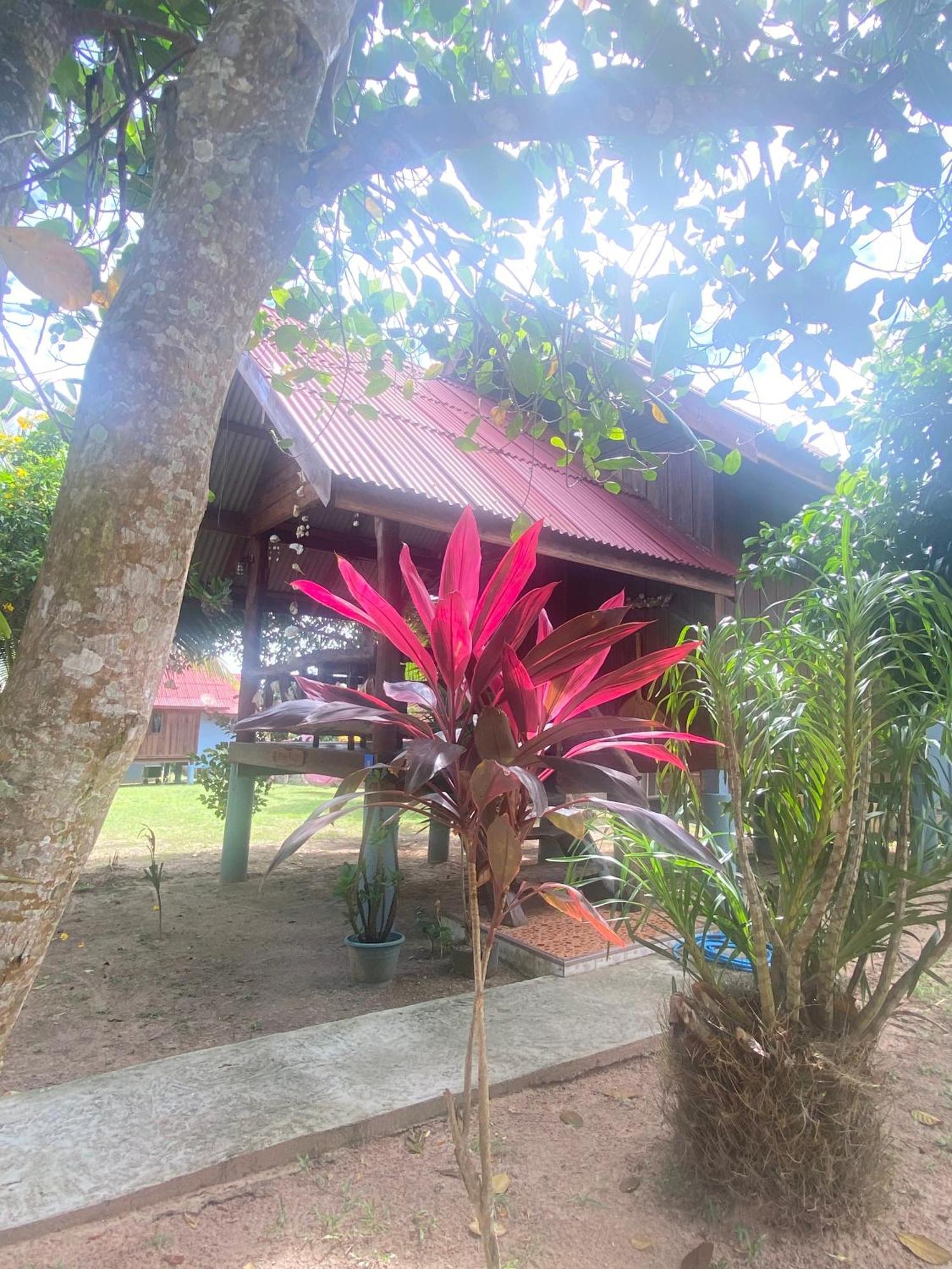 Nadia Resort Kohjum Koh Jum Exterior photo